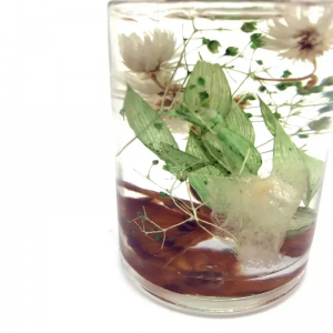 High Quality Fragrance Reed Diffuser With Glass Bo