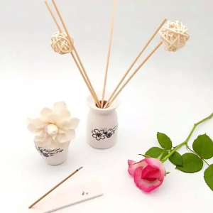Home Fragrance Air Freshener common fig Reed Diffuser Aromatic Perfume Scent Set
